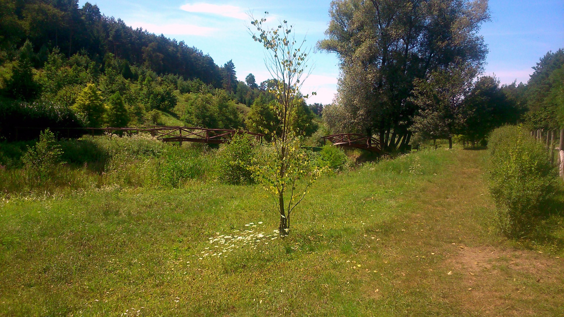 Ipolytarnóci Ősmaradványok Természetvédelmi Terület